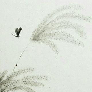 【山水类配乐赏】青山看不厌，流水趣何长