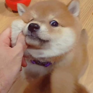 小红书分享单曲:/