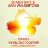 Addison Scott - We Belong Together (MD Electro & Flip Capella Remix Edit)