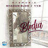 Shadow Blow - Blodia