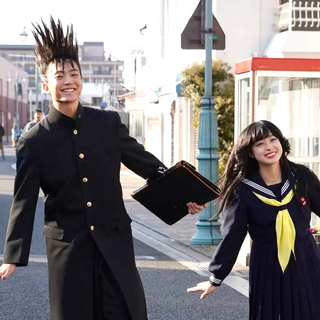 “今日不想做智者，只想与你入爱河”