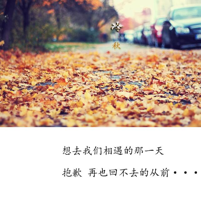 冷秋简谱_儿歌简谱