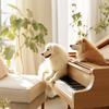 Pet Music Therapy - Comforting Presence Piano Echoe