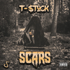 T-Stock - Scars