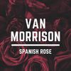 Van Morrison - Ro Ro Rosey (Live)