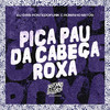 Dj Roninho Mitos - Pica Pau da Cabeça Roxa