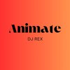 DJ Rex - Animate