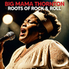 Big Mama Thornton - Interview With Big Mama Thornton