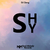 DJ Zeng - Shy