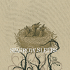 Sparrow Sleeps - The Spill Canvas - Staplegunned