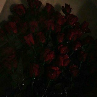 神羅天征!酒吧蹦迪必备「精选」