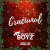 Acoustic Boyz - Craciunul