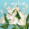 Wylie - Simple Answer