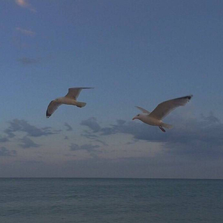 超燃且虐心的古风剧情歌曲（超好听）