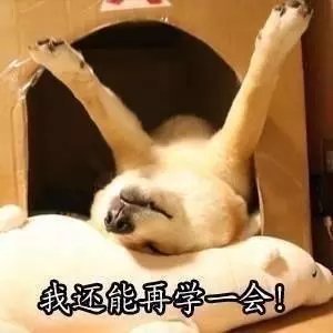 提高学习/工作/睡觉质量的纯音乐（二十三）
