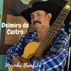 Delmiro de Castro - Segura Peão (feat. PC)