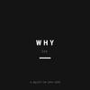 Question - Why (feat. DSS)