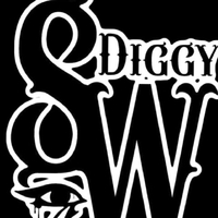 Diggy SW资料,Diggy SW最新歌曲,Diggy SWMV视频,Diggy SW音乐专辑,Diggy SW好听的歌