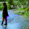 L.I.E - Wish We Never Met