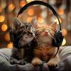 Relaxing Kitten Music - Tiptoe Twilight Tune