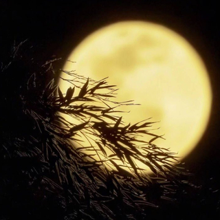 中原民谣|乍闻愁北客，静听忆东京。