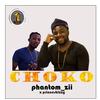 Princeshizzy - And Phantom_zii (Choko)