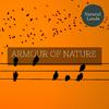 Loving Nature Sound Library - Puddles and Soothing Drizzle Tunes