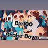 Cis100 - Shake Down