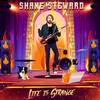 Shane Steward - Time Can't Heal All Wounds