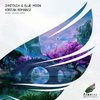 Syntouch - Korean Romance (Sergey Salekhov Remix)