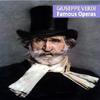 Giuseppe Verdi - Ernani, Act I: Ernani, Ernani, ...