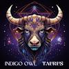 Indigo Owl - Aquarius