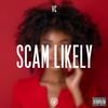 VC - Scam Likely