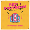 Provins Projektet - Én Nat (Provins Remix)