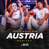 DeVito - Austria (Obm Remix)