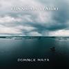 Dominick Maita - Thunder During Heavy Rain