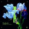 Kadosh (IL) - The Signal