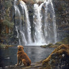 MÚSICA RELAJANTE PARA MASCOTA - Sonidos Tranquilos De Cascadas Para Mascotas