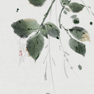 「古风丨小众」你是我故事上的哪一折？