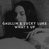 Gaullin - What's Up