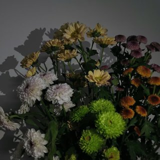 《风犬少年的天空》最全歌单