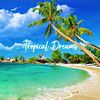 lazyhuman - Tropical Dream