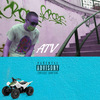 AUSTIN WATSON - ATV