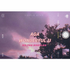 NO.788 - AGA - Wonderful U（NO.788 Bootleg)