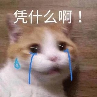 MELANCHOLY 相识歌曲持续更新