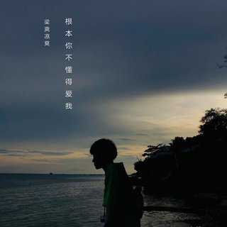 网 易 云 伤 感 音 乐