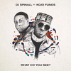 DJ Spinall - What Do You See?