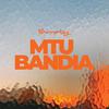 Parroty - Mtu Bandia