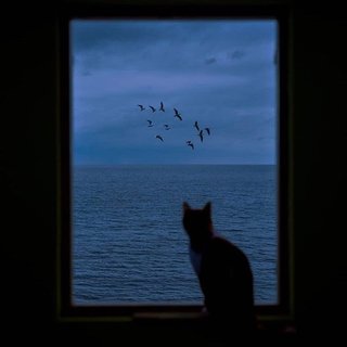 后摇Post Rock｜一朵情绪积雨云