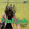 Malijah - Ruling Sound